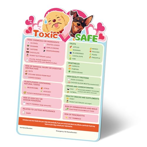 Imán decorativo guía alimentos tóxicos y seguros para perros