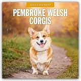 Red Robin Publishing