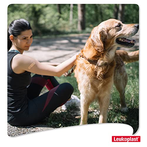 Colágeno, Imagen adicional