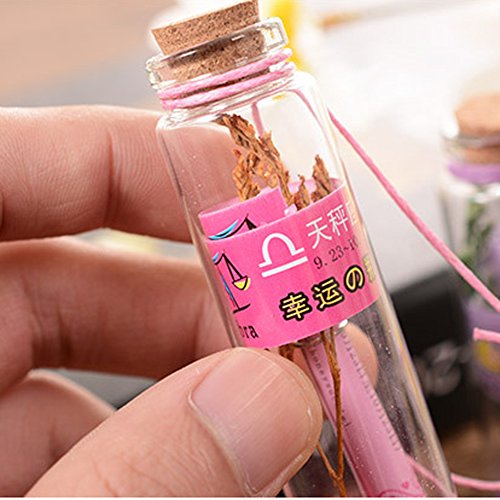Lefv 12Pcs Message Bottles With Cork Small Glass Vials Sand Wishing Bottles Charms With Paper Dried Flower And Beads For Birthday Gift Wedding Party Favors, Size 2.75" X 0.78” #TOP3
