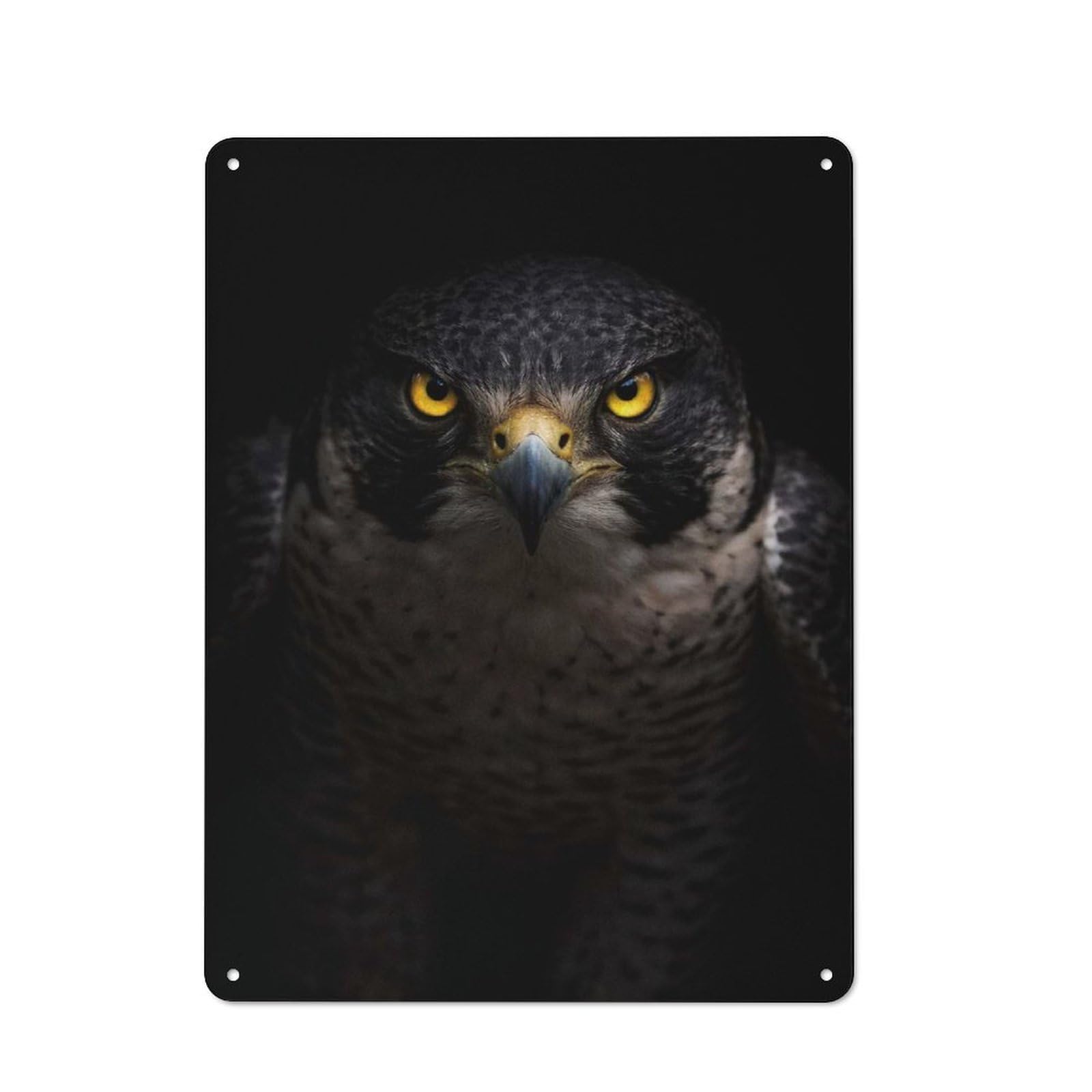 Junmoney Style-11 Intense Peregrine Falcon Portrait Vintage Metal Plaque 40X30cm For Living Room Wall, Suited To Living Room Decor Lovers