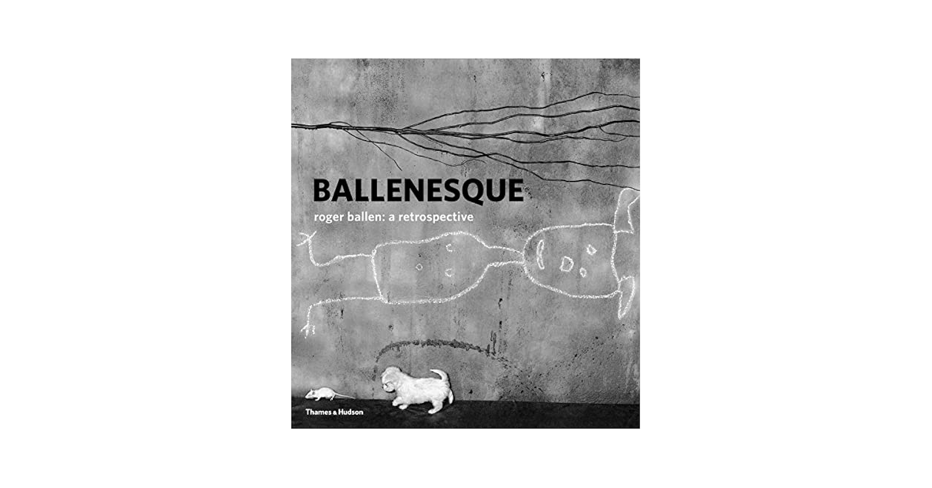 洋書 BALLENESQUE: Roger Ballen: Retrospective Amazon.co.jp: Ballenesque: Roger Ballen: A Retrospective