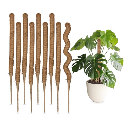 Set da 10 Bastoncini in Fibre di Cocco Canne Flessibili Supporto per Piante Rampicanti H: 60 cm Naturale Acciaio 60 x 3 x 3 cm