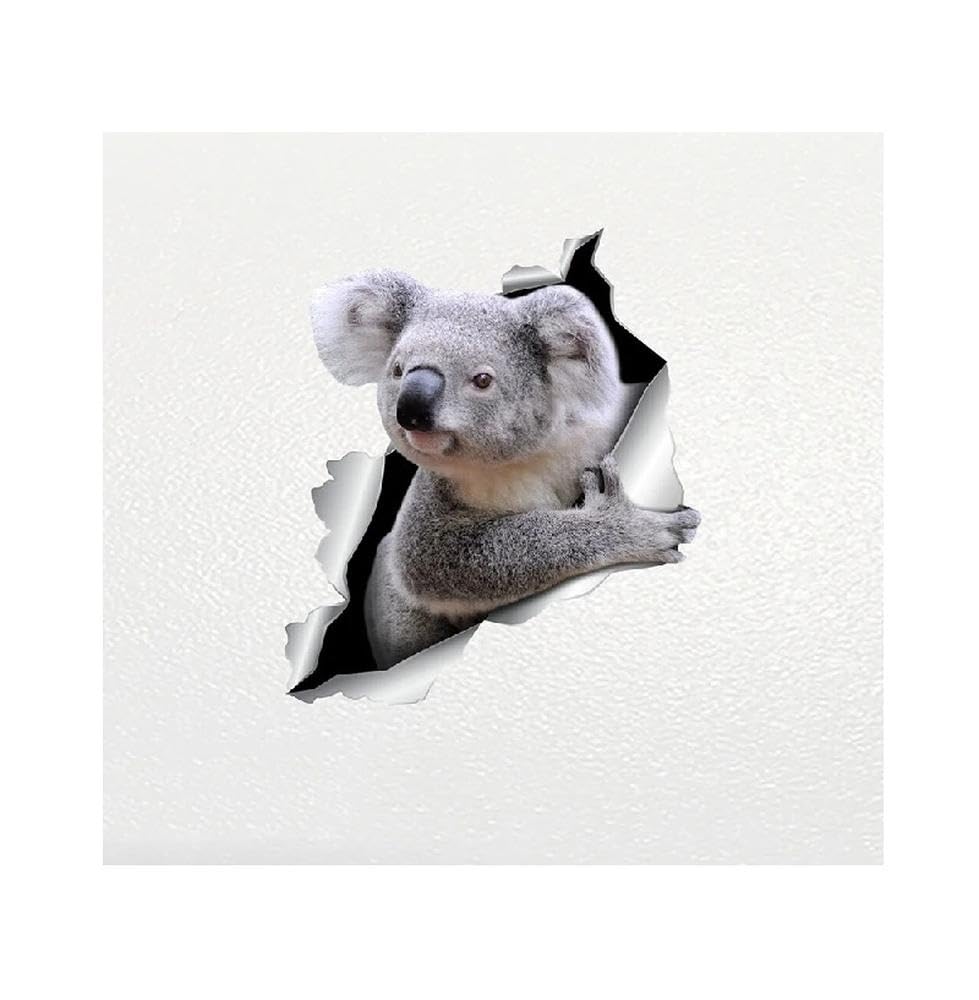 Car Sticker Koala Pet Animal Waterproof Vinyl Decal Car Accessories Decor Pegatinas para Coche(30CM)