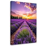 Couleurs intenses - tableau de dimensions 80x120 cm avec un motif de Champ de lavande prairie violet apporte un vent de fraîcheur dans ton intérieur. Les côtés imprimés ajoutent de l'élégance et créent un effet visuel harmonieux.