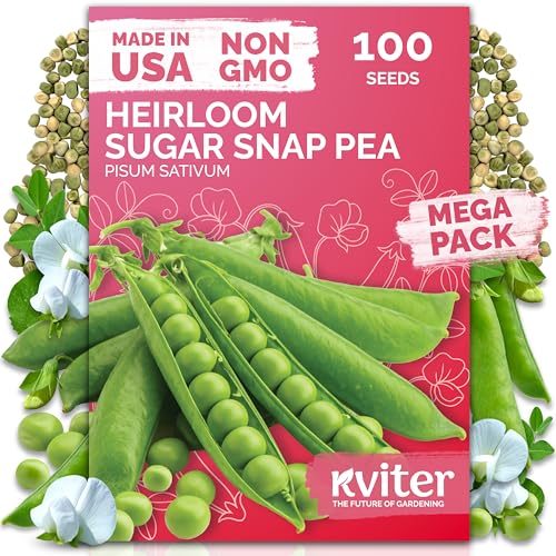 KVITER 100 Sugar Snap Peas Seeds (Pisum sativum) – Sweet Pea Heirloom Seed, Crisp Flavor, Plumper Pods & Early Harvest — Vegetable Seeds for Planting in Outdoor Garden, Containers & Beds