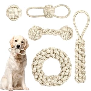 5 Stück Hunde Kauspielzeug Seil, Geflochtene Hundeseile Spielzeug aus Baumwolle & Hanf, Hundespielzeuge Set, Interaktives Kauspielzeug für Welpen, Kleine, Mittelgroße Hunde