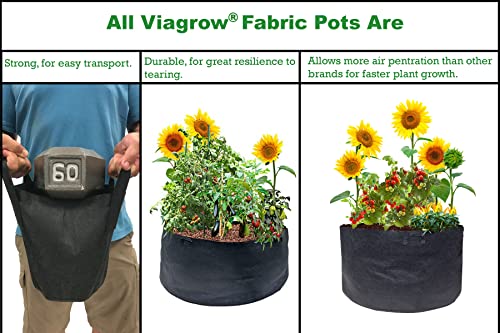 Viagrow V2Gapot-10 Breathable Root Aeration Handles (10 Pack), 2 Gallon Fabric Pot, Black #TOP4