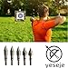 Yeseje100 Grain Archery Field Points Stainless Steel Arrow Bullt ponts with Arrow Pedesta for Target Practice (12 Pack) (5/16-100gr)