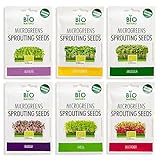 6-in-1 Seed Variety Pack for Microgreens Lovers – Our thoughtfully curated variety pack includes sunflower, arugula, beetroot, radish, cress, and alfalfa seeds, giving you a flavorful introduction to the world of microgreens. It’s an easy, fun way to...