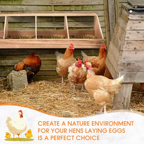 Chicken Nesting Boxes, Chicken Laying Boxes Coop Accessories Roosting Laying with Liners Large Bedding for Hens Birds Duck Coop Poultry Habitat Supplies(4 Compartment) - Image 4