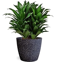 Garden Art Fiber Pot (20.5x17.7) cm | Outdoor,Indoor Decor, Ribbed
