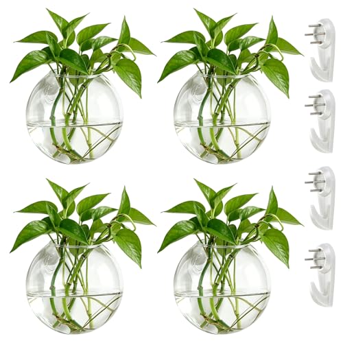 NUPTIO 4 Pièces Jardinières en Verre à Suspendre 10cm de Diamètre en Verre Rond Pot - Eau Planter des Vases Air Fleur Vase Plante Terrariums Conteneur de...