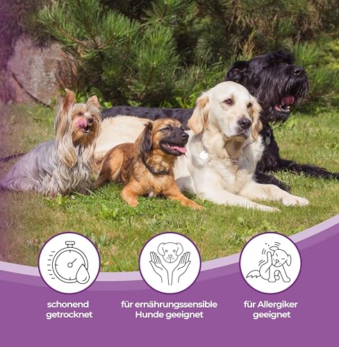 mascota vital - Getrocknete Ziegenohren für Hunde – 100% Natürlicher Kausnack, Schonend Getrocknet, Ohne Zusatzstoffe, Fördert Zahngesundheit & Langanhaltenden Kauspaß