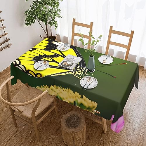 Nappe infroissable papillon : la solution lavable pour table de repas et table basse propre - 2