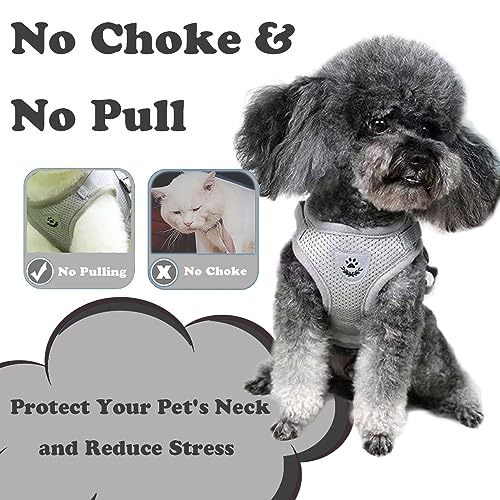Anlitent Harnais et laisse en maille souple anti-traction pour chat/chien - Anti-fuite - Pour petits chiens - Collier pour lapin/souris/chat - XS - Image 7