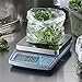 Edlund BRV-160 Bravo! Series High Performance Digital Scale, 10 lb. Max Weight