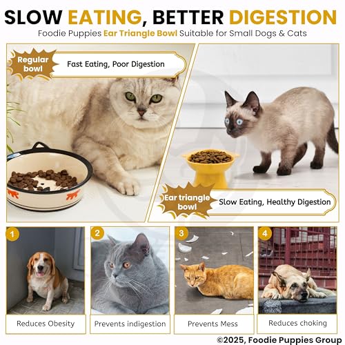 Image of Foodie Puppies Cat Food and Water Feeder (Triangle Bowl, Pack of 2) | Durable, Anti Vomiting, Healthy Cat Bowl for Persian Cat Prevent Tipping Over | Elevated Feeder for Cats and Small Dogs