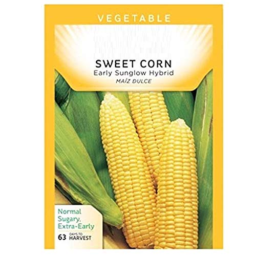 VIBEX -® VXL-382 American Sweet Corn Seeds