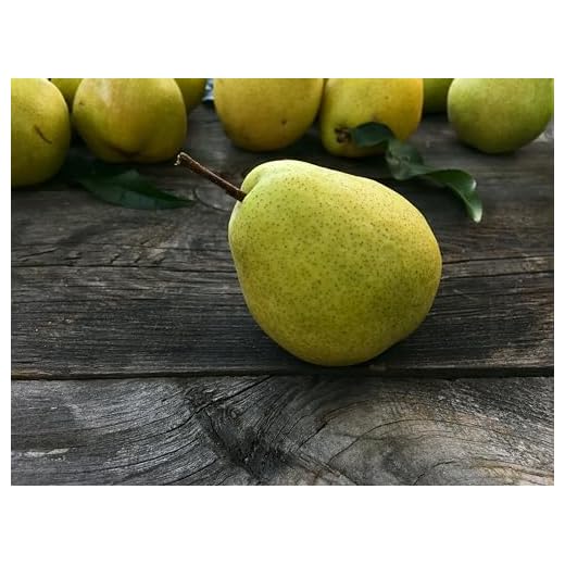 Fresh D'anjou Pears from RawJoy Farms