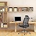 Office Chair High Back Desk Chair for Computer, Black Mesh Back Adjustable Height Tilt Angle Swivel Ergonomic Chair with Lumbar Support Headrest Metal Base