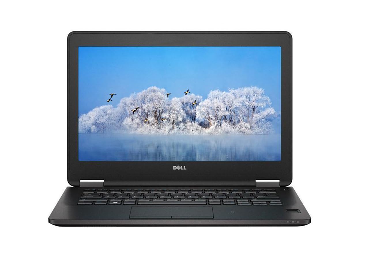 Amazon.com: Dell Latitude E7270 12.5-Inch Ultrabook - Intel