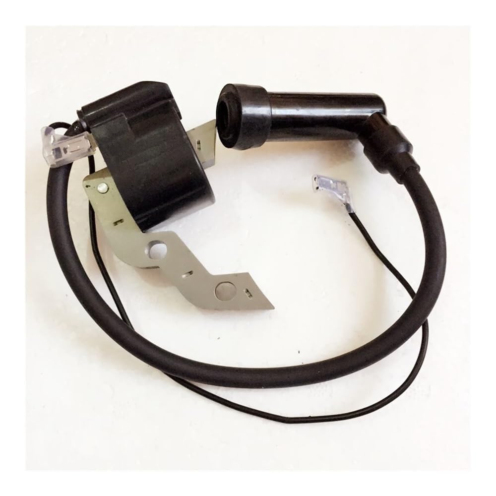 Bobina DE Encendido E 24SC Compatible con componentes del Motor de Gasolina Hit-ACH Koki 6.0HP E24SC