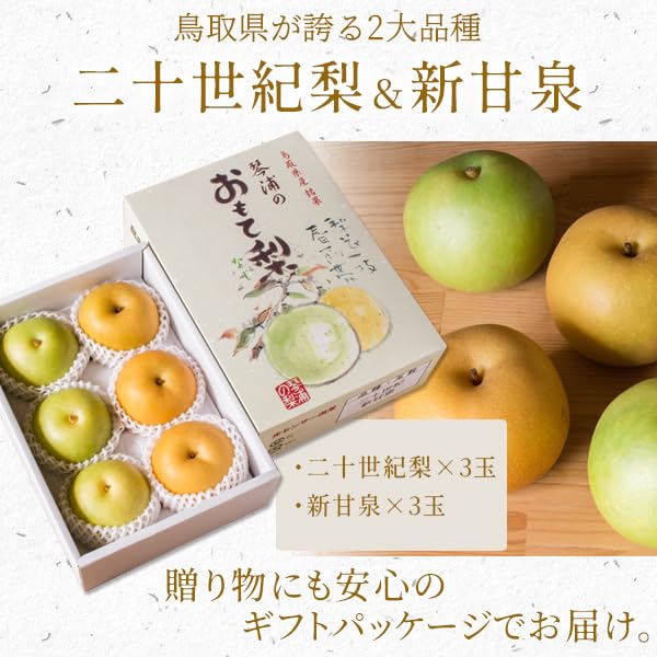 Amazon.co.jp: 二十世紀梨＆新甘泉2kg詰合せ（6玉入り） 鳥取県産 梨