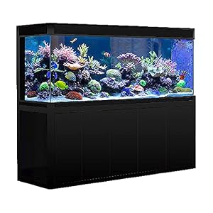 400 Gallon Aquarium Fish Tank LED Light Pump Freshwater Filter Upright Fishtank Stand Bundle Straight Corners Ultra Clear Tempered Glass with Complete Aquarium Setup (All Black)