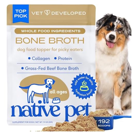 Native Pet Beef Bone Broth Powder