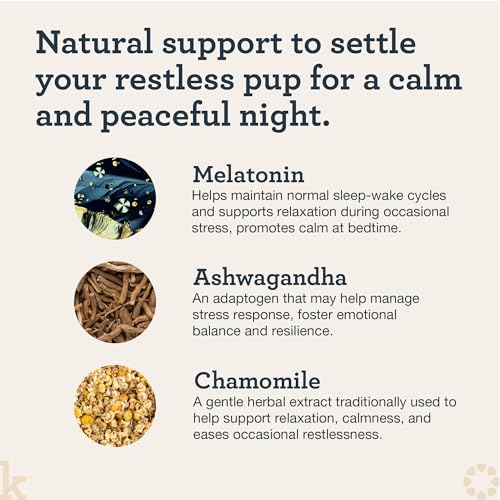 Image of Kradle Nighttime Calming Chews for Dogs - Sleep and Relaxation Support - Melatonin L-Theanine Chamomile Ashwagandha - Calming Supplement for Bedtime and Stress - Chicken Flavor - 90 Chews