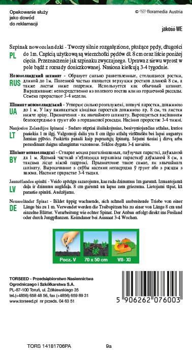 Mocne nasiona szpinaku nowozelandzkiego Tetragonia tetragonioides – pełzający wzrost, ciągłe zbiory, idealne do sałatek i gotowania, przyjazne dla środowiska, dobrze rośnie w pełnym słońcu (5