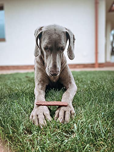 Hygiène dentaire dentaire pour chiens - 100 % naturelle - Aide au brossage des dents - Friandises naturelles OGF (L) - Image 8