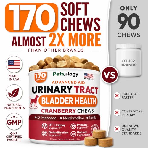Image of Dog UTI Treatment - 170 Cranberry Chews for Dogs - Urinary Tract Infection