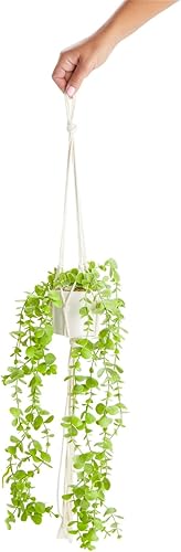 Miniatura 6 de Juvale Paquete de 2 plantas colgantes artificiales de eucalipto con colgador de macramé y maceta de cerámica blanca para decoración del hogar (31