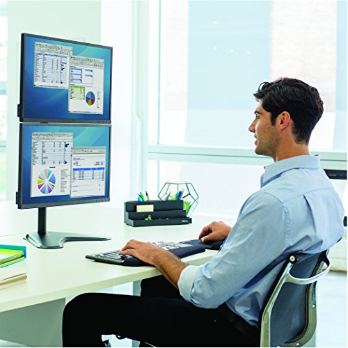 Monitor doble vertical con peana Fellowes 8044001 y lector SD 4 6