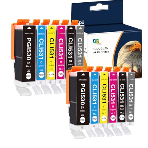 Compatible Canon 531 530 XXL Caidi avec encre grise pour des dégradés photo parfaits