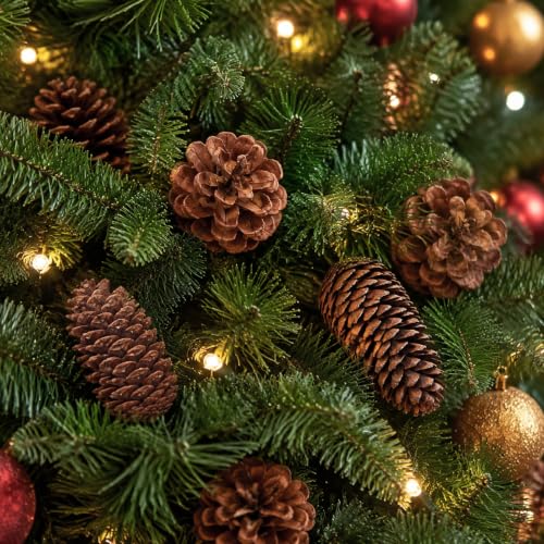 LATRAT 40 Stück Weihnachten Tannenzapfen, Verschiedene Größen Natürliche für Weihnachtsbaum, Handwerk, Geschenke, Thanksgiving, Xmas, Home Decor – Bild 5