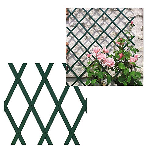 Celosias para Jardín Pvc Verde Marca BONERVA