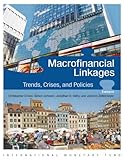 zettelmeyer radlader typen  Macrofinancial Linkages: Trends, Crises, and Policies (English Edition)