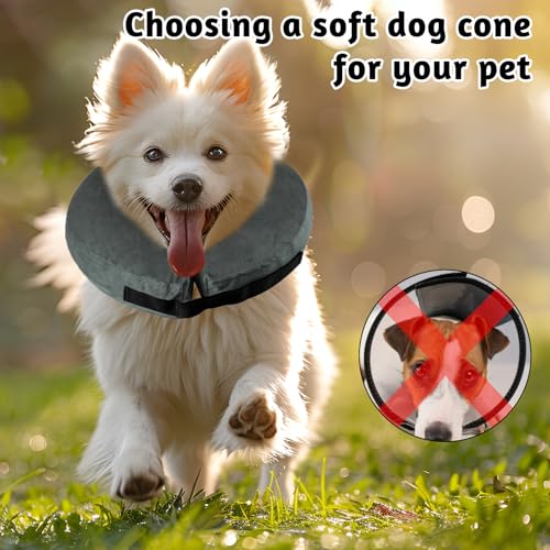 panemy Aufblasbare Halskrause Hund & Halskrause Katze, Halskrause Hund mit Verstellbarem Klettverschluss, Hunde Halskrause für Operationen oder Wundheilung, Anti-Beißen, Anti-Lecken (Grau, XS)