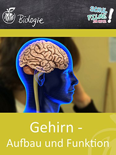 Gehirn - Aufbau und Funktion - Schulfilm Biologie
