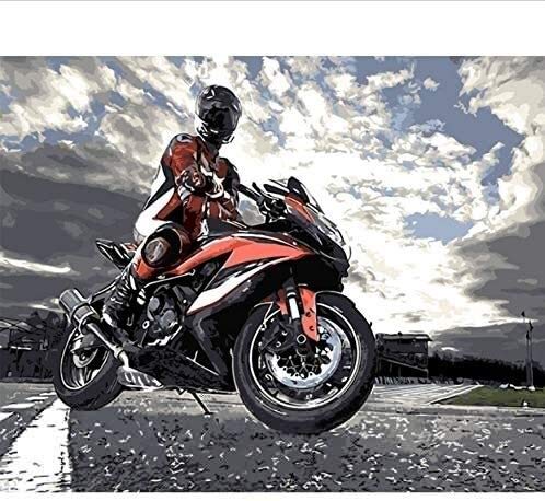 Puzzle 1000 Teile 3D Puzzle-Treiber Bild Motorrad Home Decor Motorcyclist...