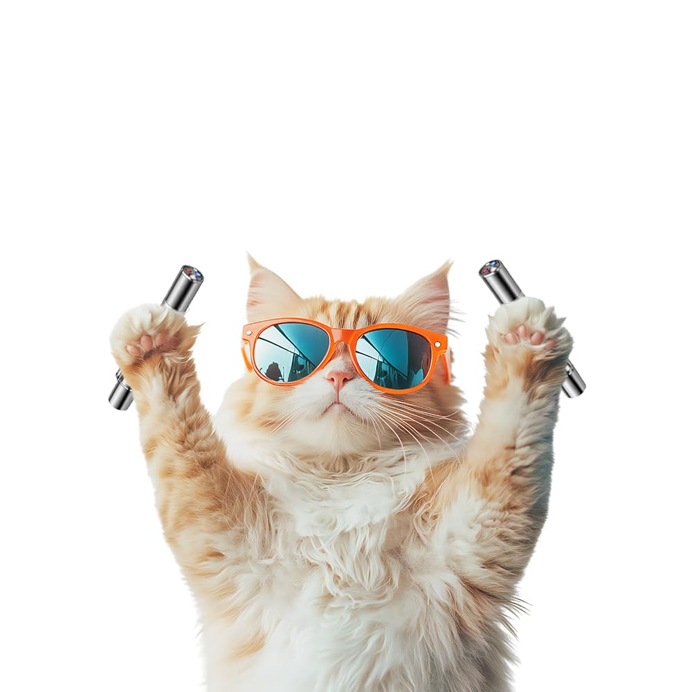 FYNIGO Interaktiver Spielzeugstab für Indoor-Katzen(2 Stück)