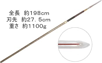 51pL-wWC2GL._AC_UF350,