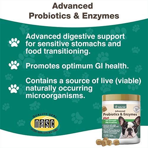 Veterinarian Strength Advanced Probiotics, Healthy Enzymes and PB6 Probiotic Supplement For Your