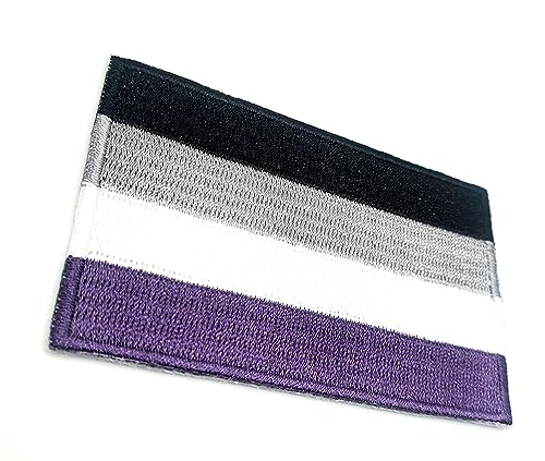 Asexual Aces Pride Aufnäher zum Aufbügeln, bestickter Stoff, zum Aufnähen, für Kleidung, 8 cm x 5 cm, rechteckig, 1 Stück