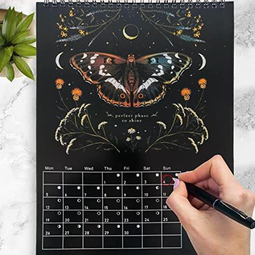 Lunar Calendar 2023 Dark Forest Lunar Wall Calendar Colored Waterink Moon Calendar 12 Month Animals Calendars, Art Monthly Moon Calendar, 2023 Lunar Phases Moonlight, For Home Office New Year Gift