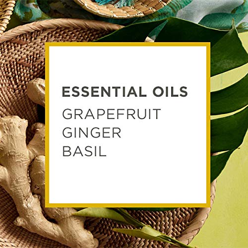 Caldrea Hand Soap Refill, Aloe Vera Gel, Olive Oil And Essential Oils To Cleanse And Condition, Ginger Pomelo Scent, 32 Oz #TOP6