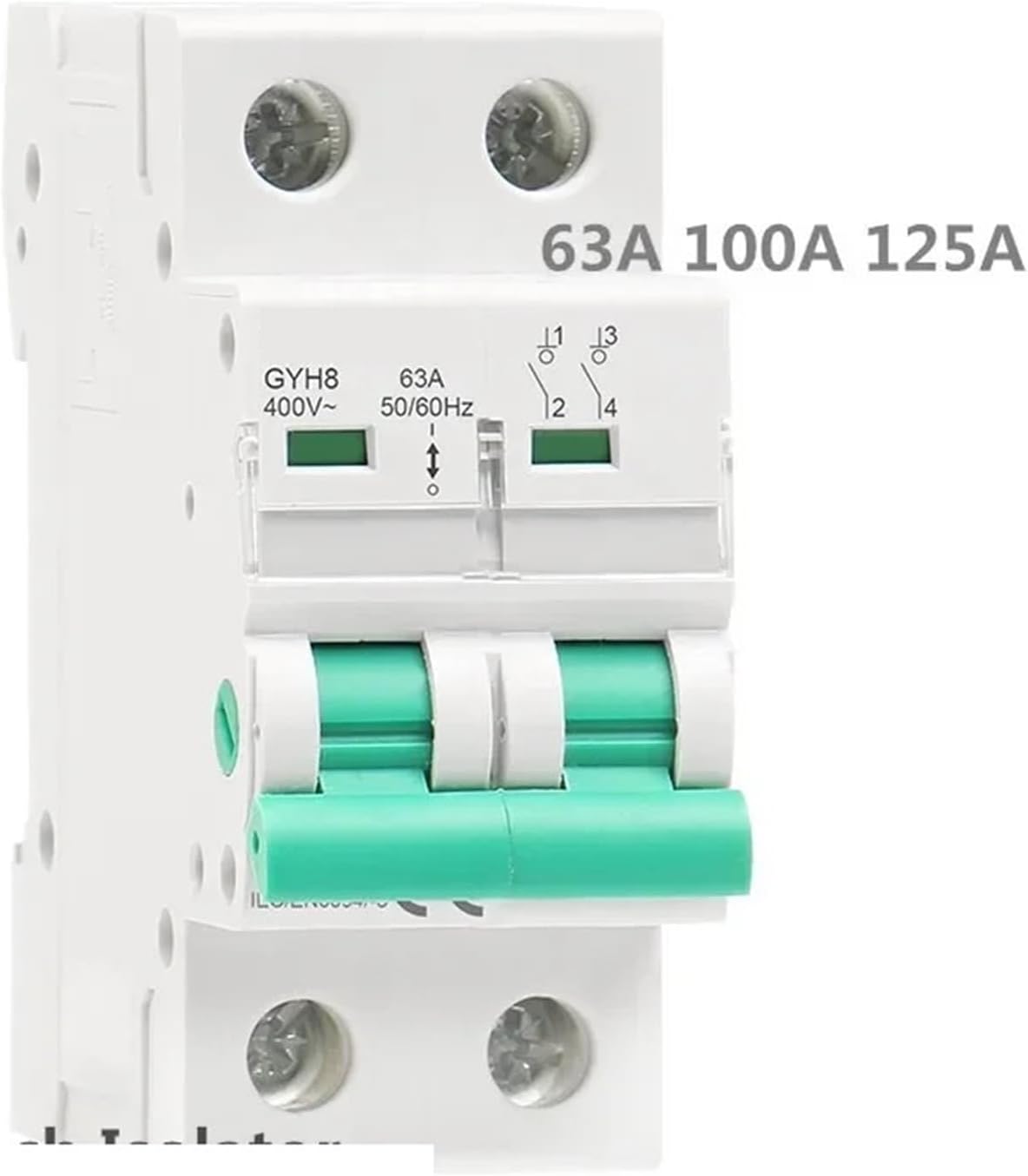 GYH8 Din Rail 2Pole Main Switch Function Disconnector Switch Isolator Circuit Breaker 400VAC DP Breaker 1Pcs (Color : 100A, Size : 2Pole)